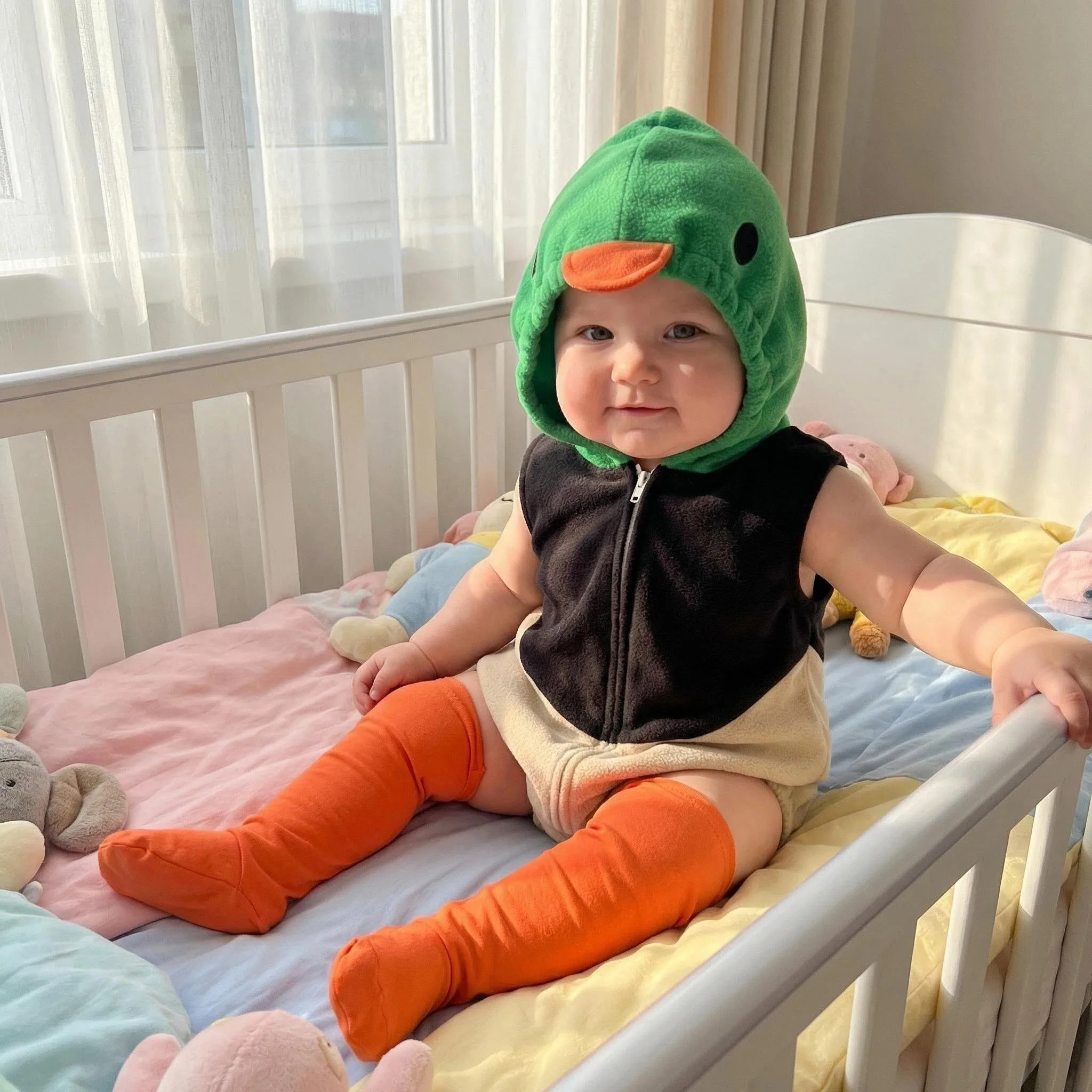 새 디자이너 만화 의류 지퍼 업 후드 롬퍼 + 스타킹 아기 소년 옷 아기 소녀 캐주얼 세트 - 1