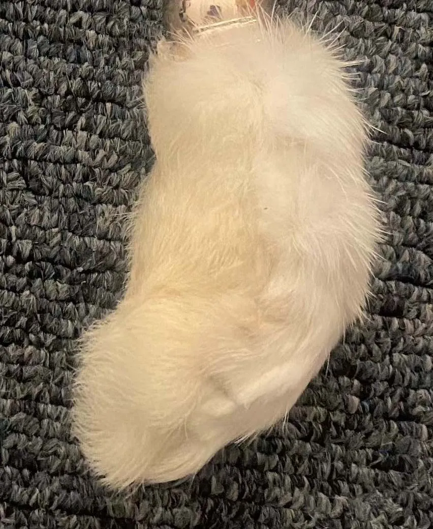 

Lucky Rabbit Foot Key Chain Enamel Charm Cute Cartoon Style Carabiner for Bag Key Holder Gift