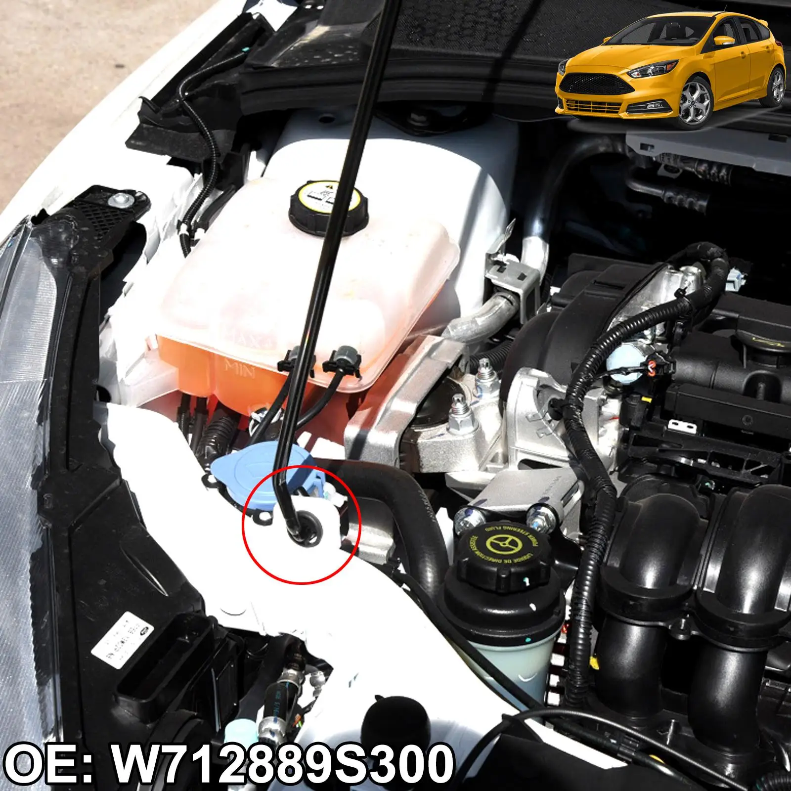 6x Auto Kapuze Haube Stange Unterstützung Prop Tülle Für Ford C-Max Fokus Fusion S-Max Mondeo Flucht kuga Auto Zubehör W712889S300 – Detail 6