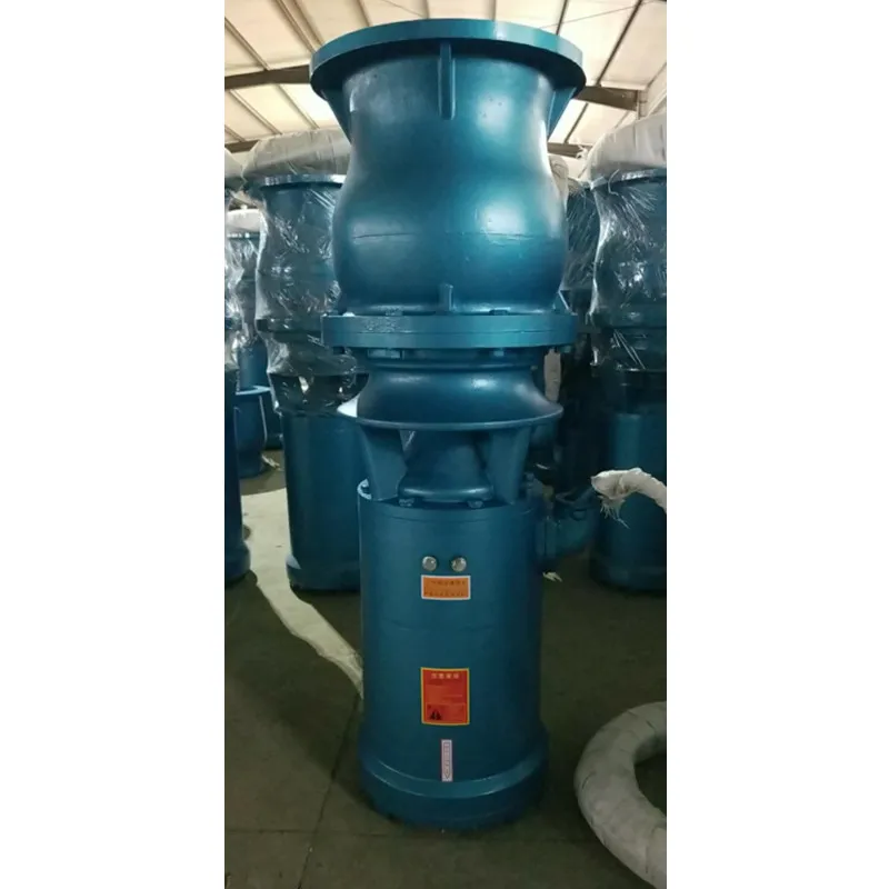 

QSH/QSZ Submersible Axial Flow Pump Heavy Rainstorm Flood Control Large Flow Mixed Flow Pump Farmland Irron Droughtigati