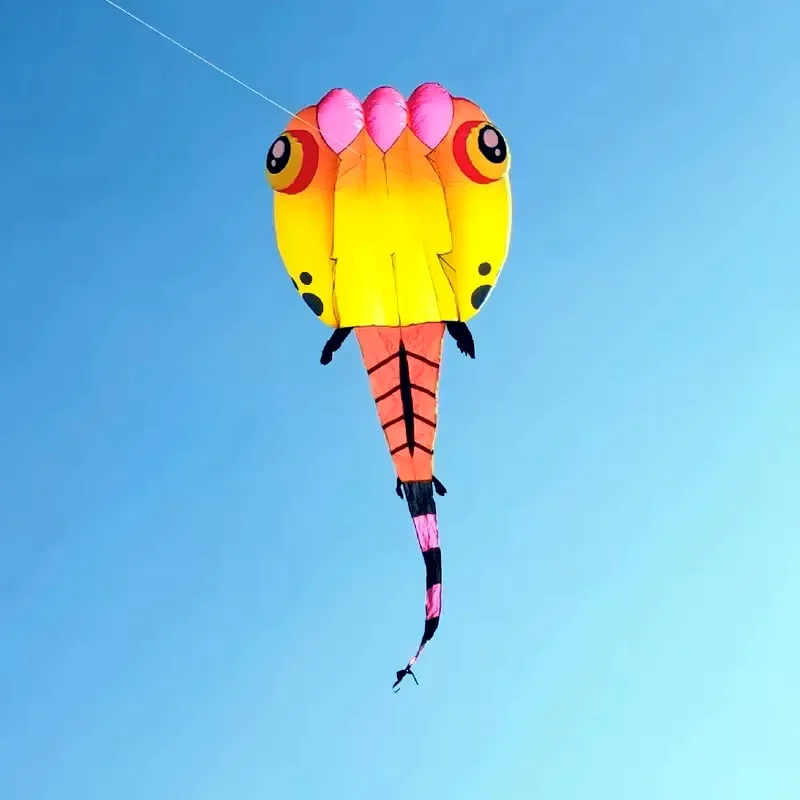 

Free shipping new tadpole kites flying inflatable kite nylon kites for adults kite factory professional original kite line wind