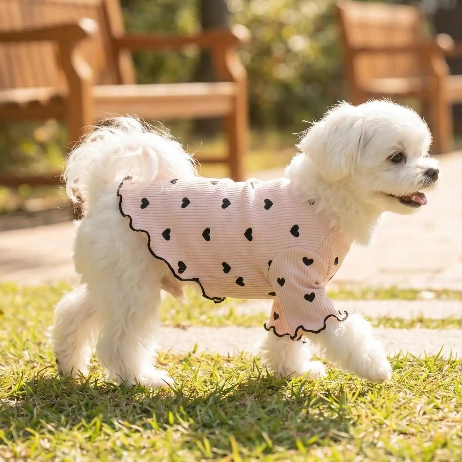 Geripptes Haustier-T-Shirt mit Herz- und Schleifendruck und Rüschenbesatz für kleine Hunde und Katzen – Detail 30