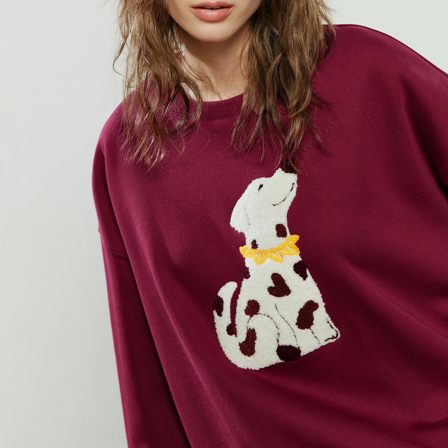 TOYOUTH Women Hoodies 2025 Winter New Crew-neck Loose Heavy-duty Puppy Applique Embroidery Age-reducing Fleece-Lined Warm Tops