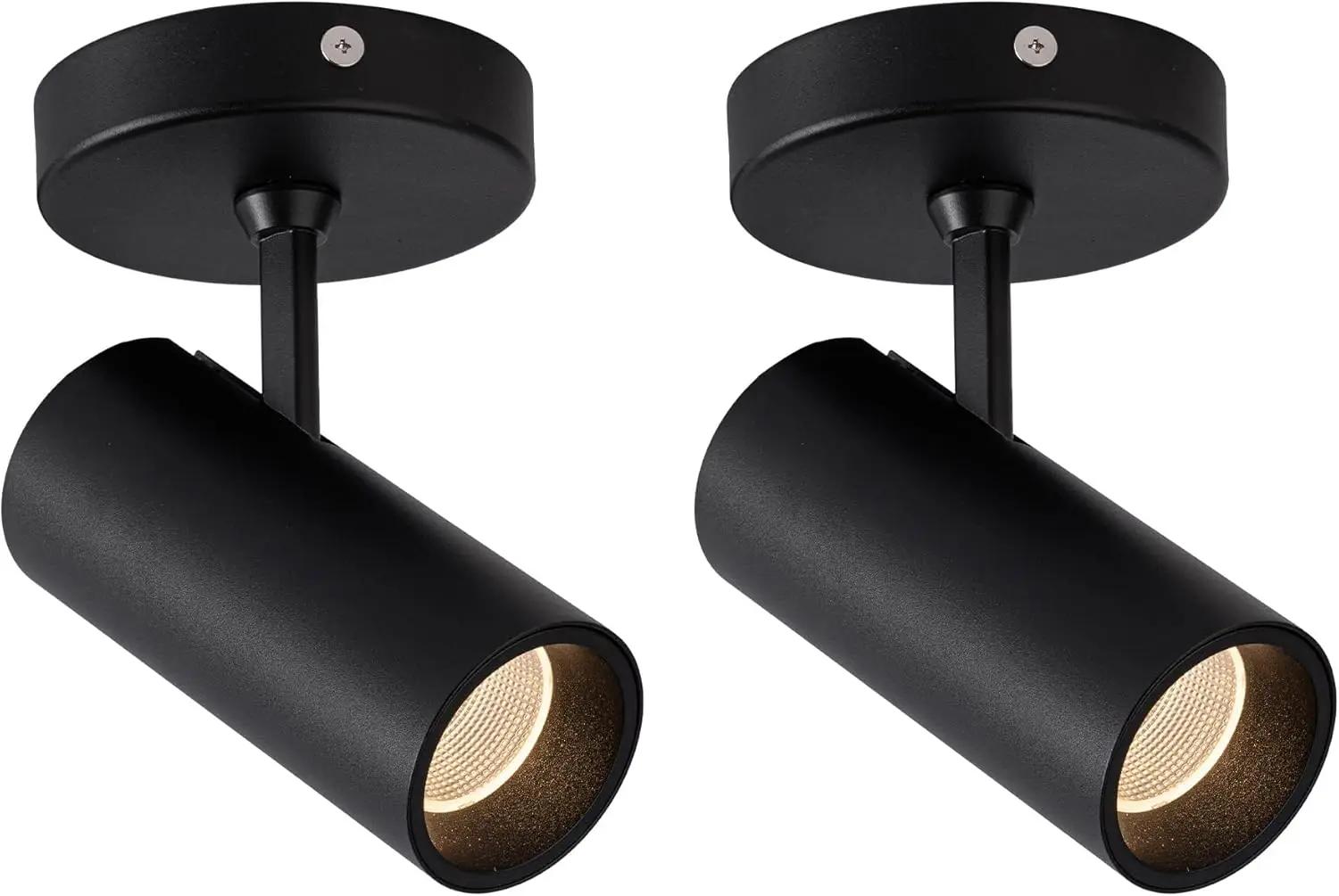 2 Pack LED Modern Spot Light Indoor,Adjustable Angle Wired Ceiling Spotlight Lamp for Living Room, Painting,Accent Lighting ,10W