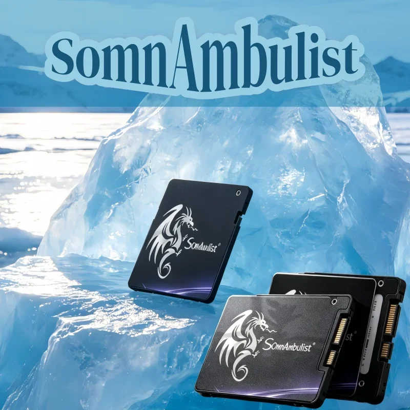 

Budget Friendly SomnAmbulist High Speed SATA3 SSD 128GB-2TB 2.5" Internal Drive For PC Replacement