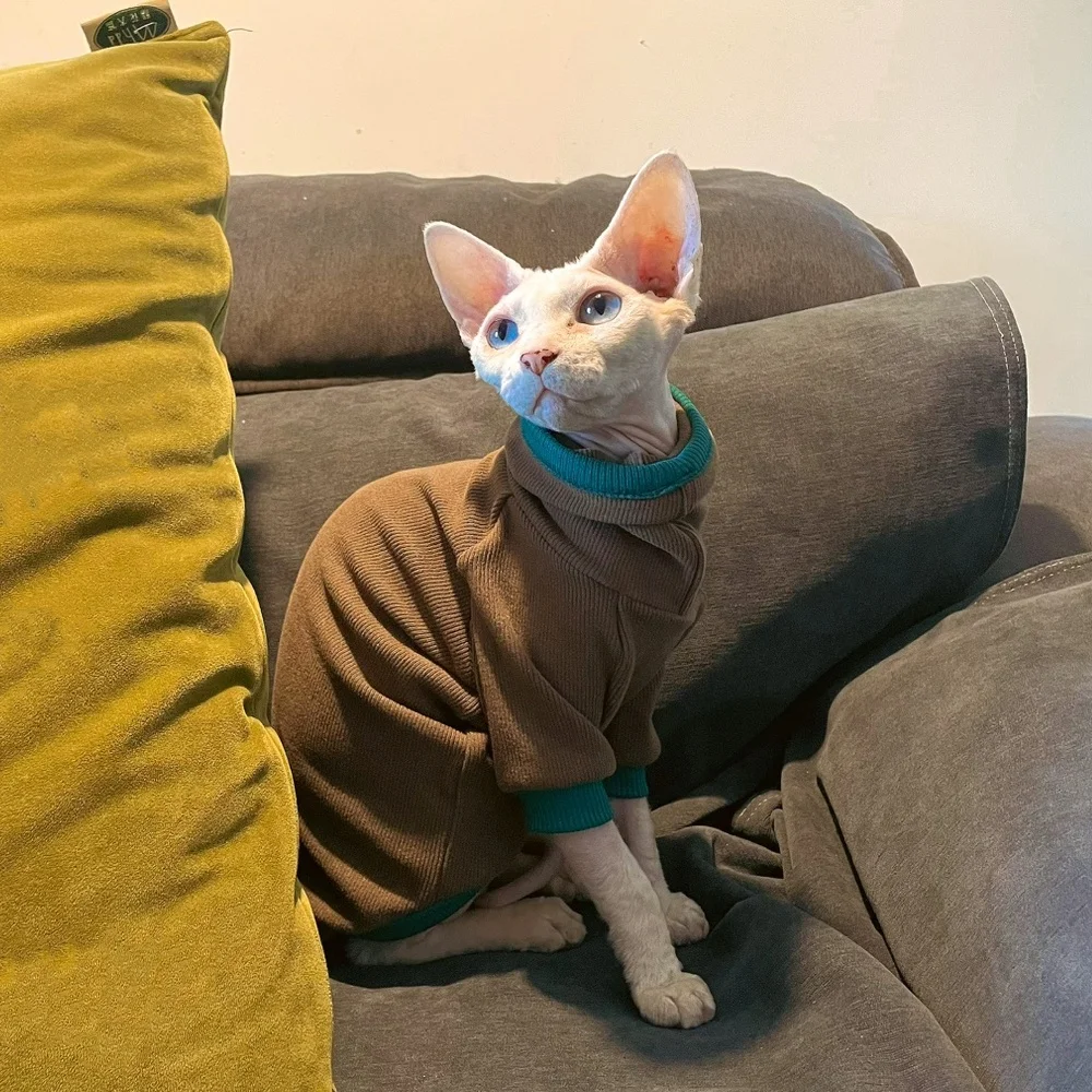 Sphynx Cat Cotton T-shirt for Kittens Small Dogs Coffee Long Sleeves High-Neck Coat for Devon Rex Leisure Jumpsuit in Autumn