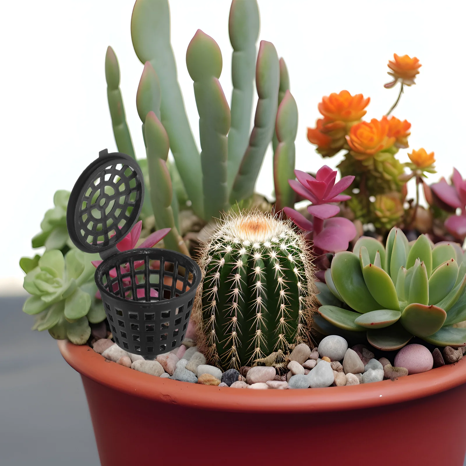 

100pcs Fertilizer Box For Bonsai Plastic Nutrient Container Garden Size Fertilizer From Birds Wind Small