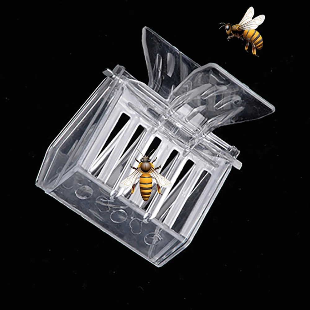 2pcs/5pcs/12pcs Transparent Hairclip Style Queen Catcher Squeeze Catch The Queen Capture Worker Bees Can Escape Through Side