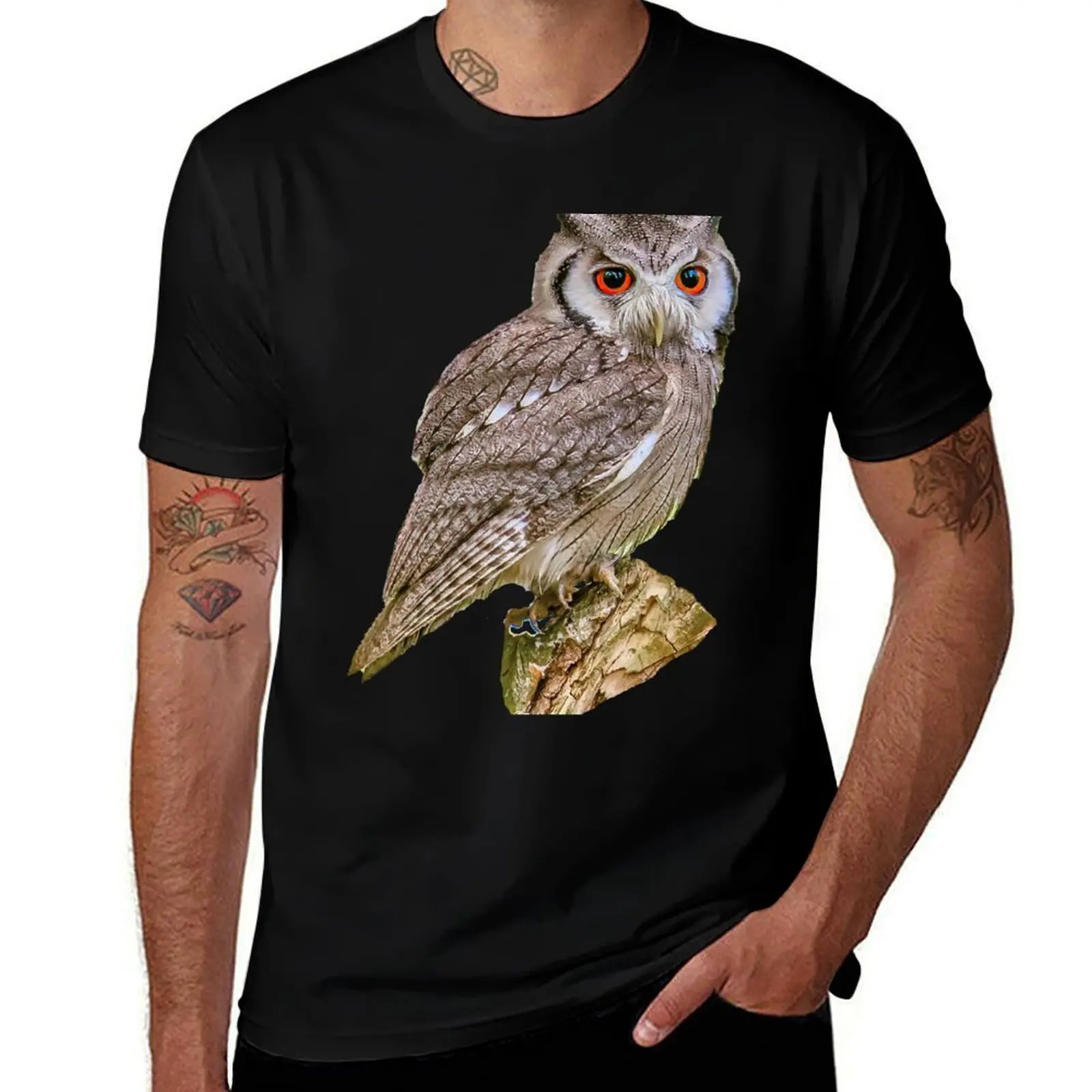Southern white-faced Scops owl on a tree stump T-Shirt Basic Lightweight Short Sleeve Tee T-Shirt