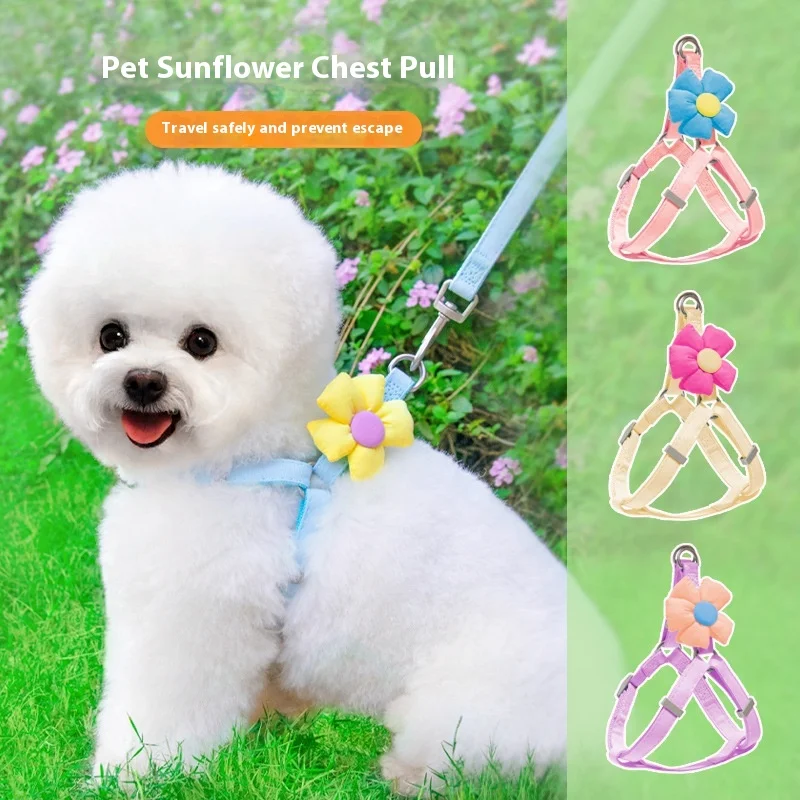 

Dog Leash Small Dog Bichon Pomeranian Walking Dogs Leash Teddy Poodle Chain New Adjustable Dog Neck Cover Pet Supplies