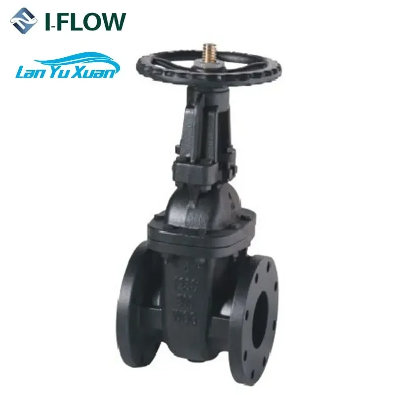 MSS SP-70 CLASS 125 OS&Y صمام بوابة حديدية مصبوب صمام صيني مباشرة #3