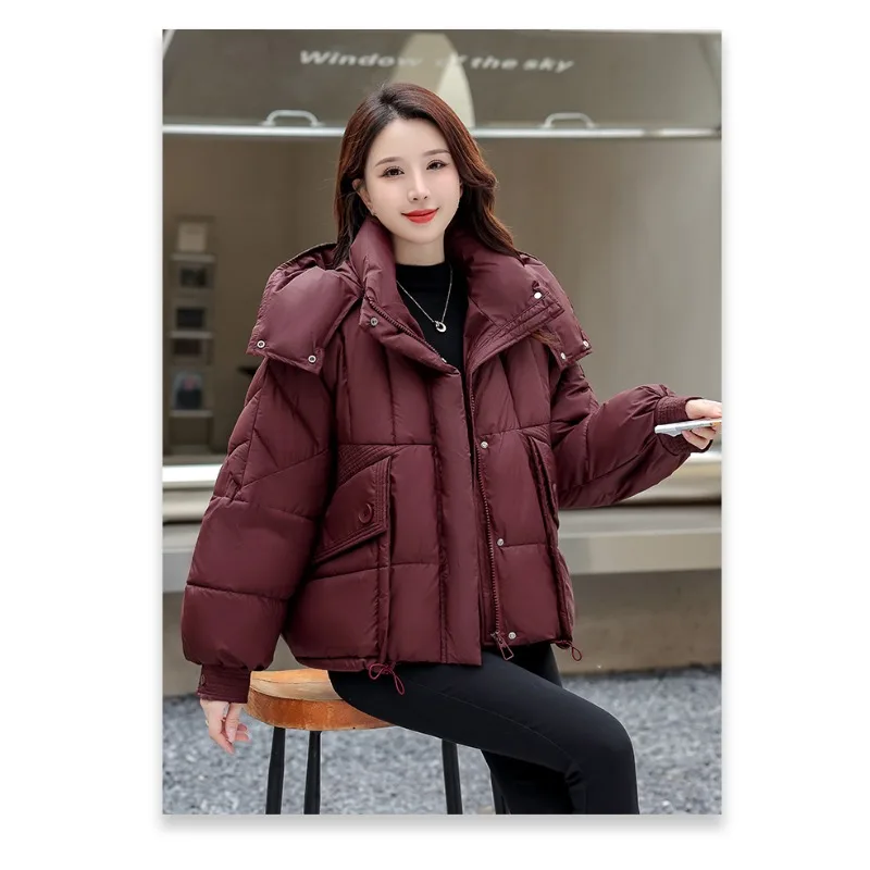 

2024 Winter Down Jacket Women Coat Fashion Y2K American Design Hoodie Duck Warm Down Feather Female Outwear Cotton-padded Jacket