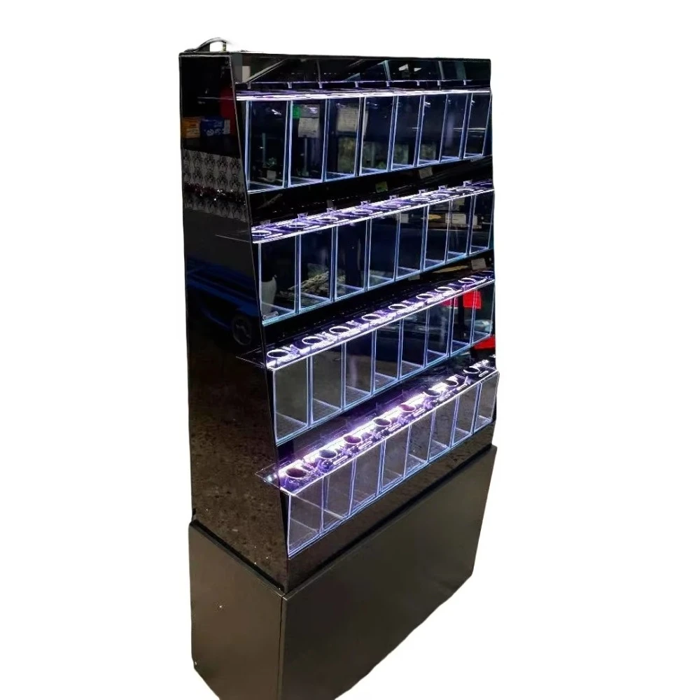 High quality fighting fish tank, multifunctional storage rack, partitioned aquarium, fighting fish system, fish shop display