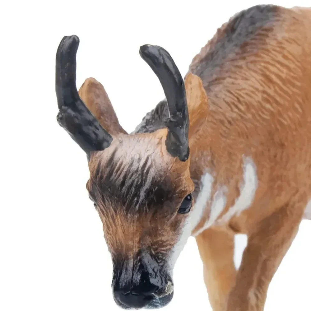 Toymany Simulation Pronghorn Wildlife Tier Modell Spielzeug Mini Figuren Puppen Action Figuren Spielzeug Kinder Geschenk Kuchen Dekoration