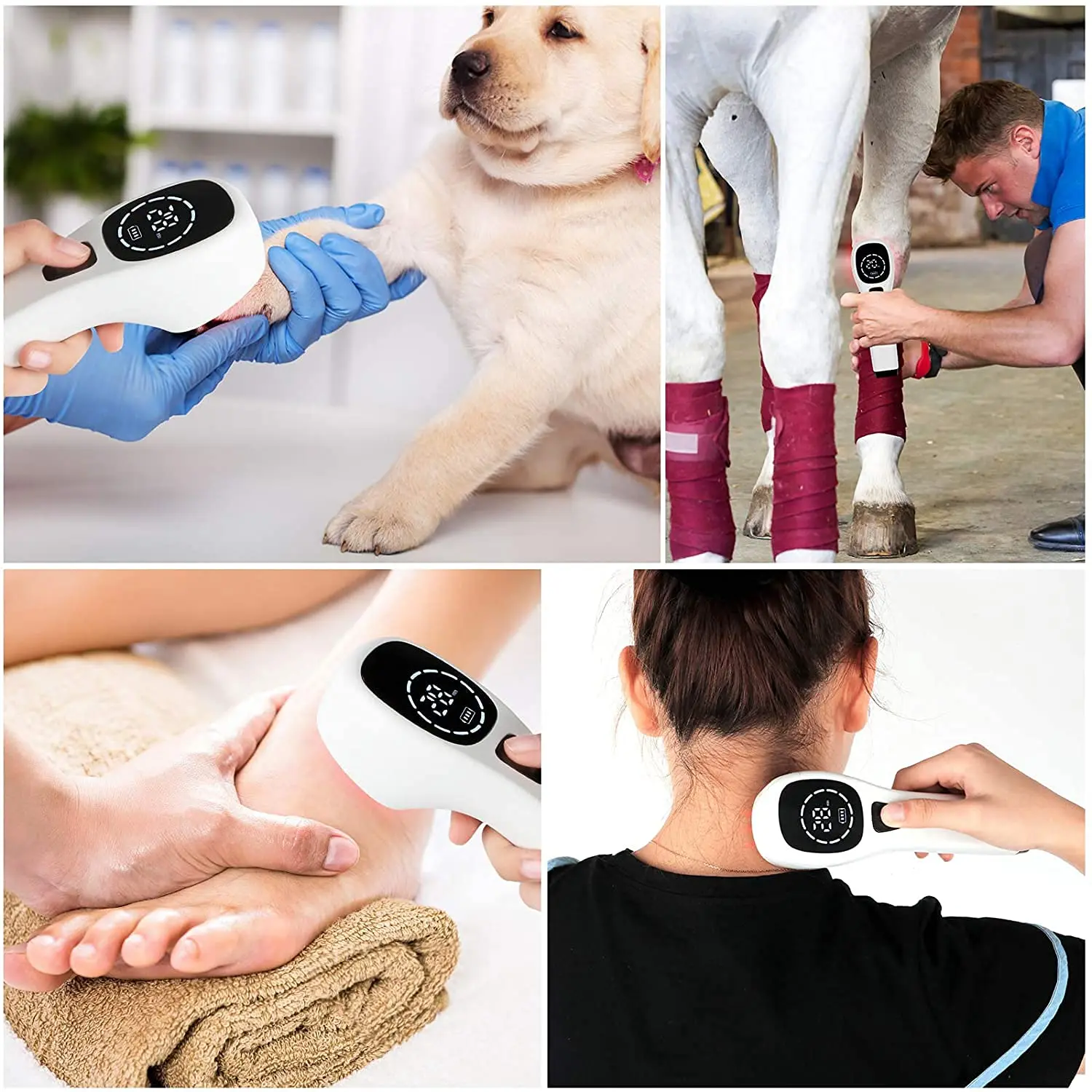 Red Light Therapy  for horses Handheld Cold Laser Therapy for Muscle&Joint Pain from Pet Arthritis Infrared Light Therapy forPet