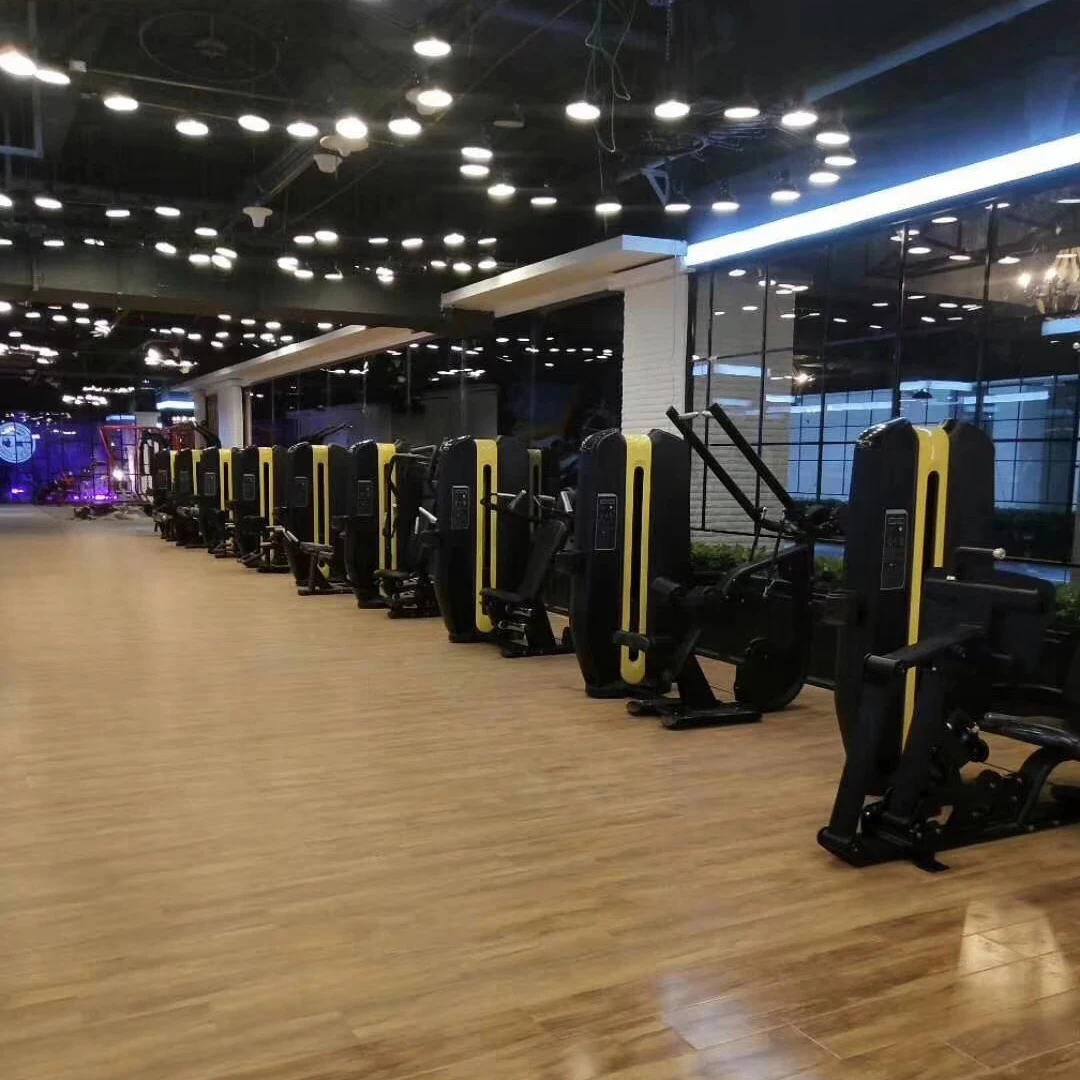 

Bestseller of the Year LDLS-007 Seated Triceps Press Strength Training Machine Squat Machine Star Products Gym Equipment