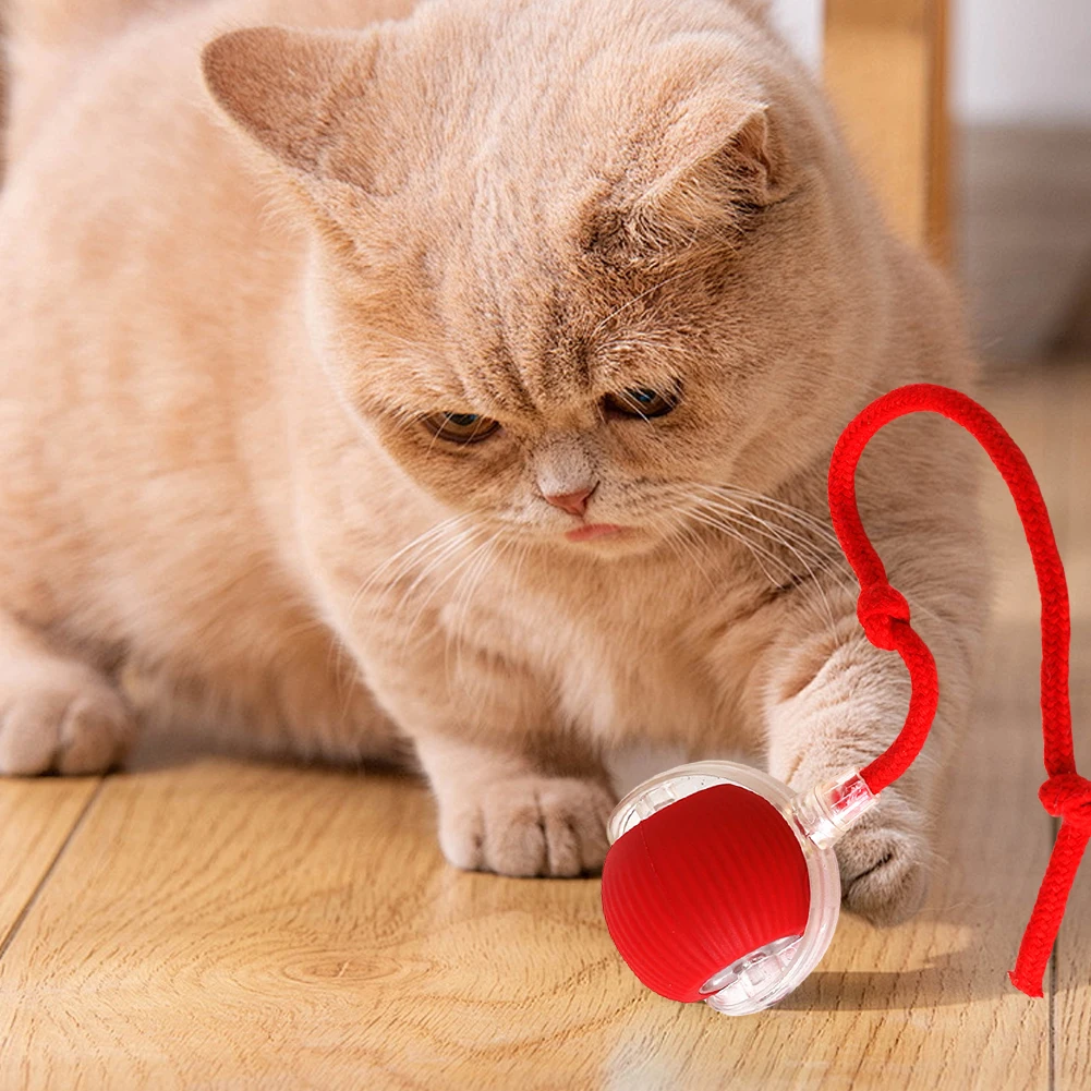 2026New Interactive Cat Toys Ball Automatic Bouncing Ball Type-C Charging Motion Activate Cat Toy 3 Modes with Rope Pet Supplies