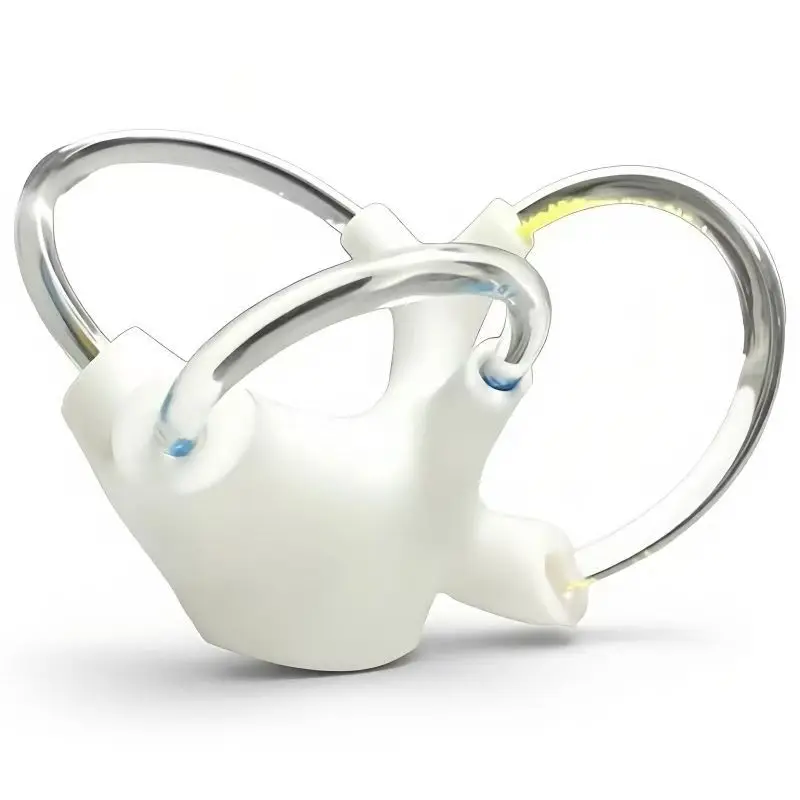 for cochlear inner ear structure model for Cerebroneural vestibular rehabilitation semicircular canal otolith anatomy model