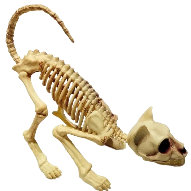 Decoración aterradora de Halloween, modelo de calavera de gato agachado, Animal espeluznante para truco de fiesta de vampiro-SPMI
