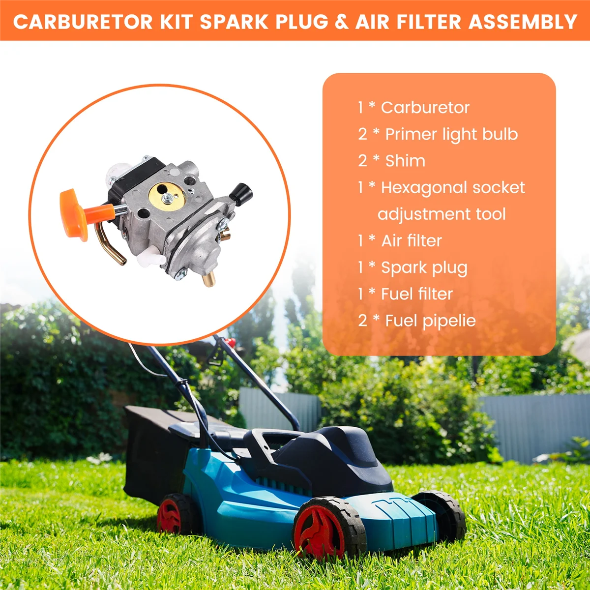 FS100 C1Q-S174 Carb…