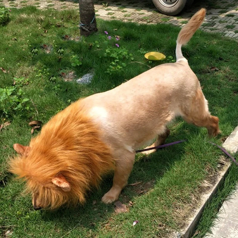 Cute Pet Dog Cosplay Clothes Lion Mane For Dog Costumes Realistic Lion Wig For Medium to Large Dogs With Ear Pet Accessories