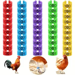 100 pcs Chicken Foot Rings Label Clasp Plastic Poultry Leg Snap Ratchet Clip Digital Duck Pigeon Goose Farm Feed Tool