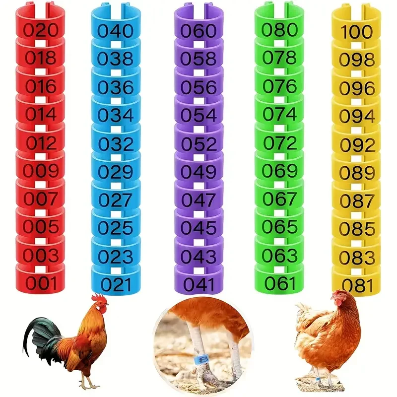 100 pcs Chicken Foot Rings Label Clasp Plastic Poultry Leg Snap Ratchet Clip Digital Duck Pigeon Goose Farm Feed Tool