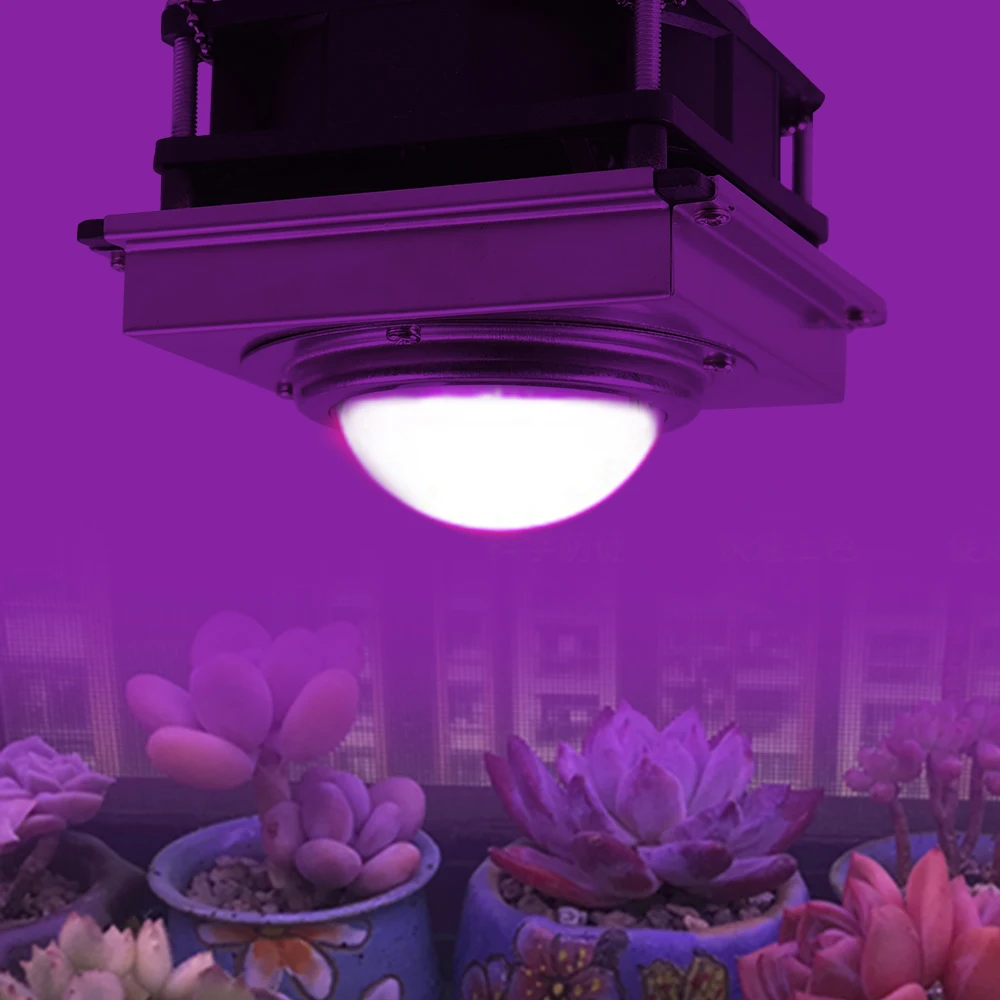 COB LED Grow Light Full Spectrum Lamp with Cooling Fan For Indoor Hydroponic Flower Plant 110V