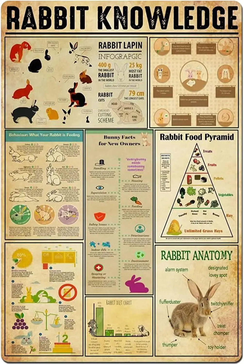 ESETASOT Rabbit Knowledge Metal Tin Signs Vintage Rabbit Food Pyramid Educational Posters Living Room Bedroom Home Wall Decor 12