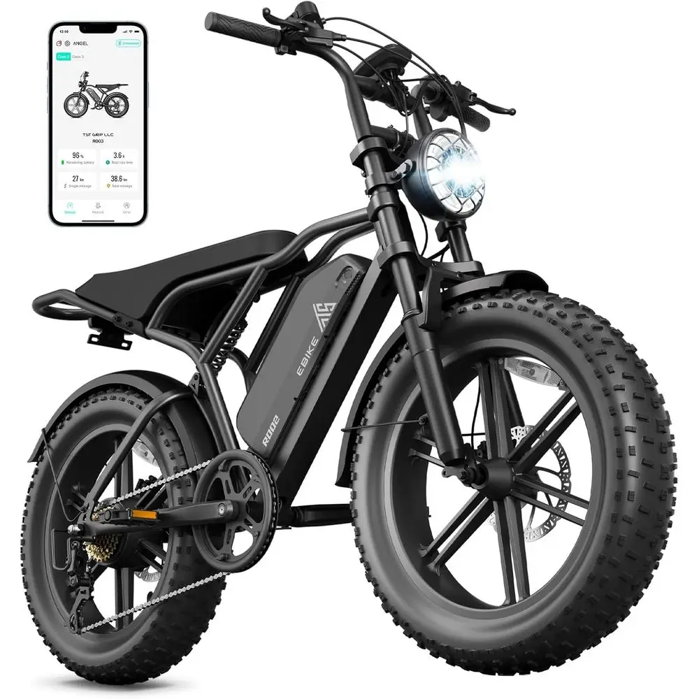 

Electric Bike for Adults 1500W Peak Motor 28 MPH Speed 60/100 Miles Range 48V 25Ah Removable Battery,Customized