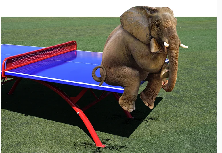 

Outdoor Movable Portable Table Tennis Table with Foldable Legs Easy-to-Carry Ping Pong Table