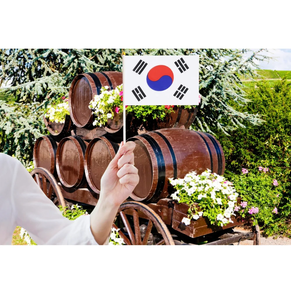 Korean  flag 14x21cm Kor Kr South Korea Flag  30cmPlastic flagpole hand waving nationalKorean  flag   flag activity parade sport
