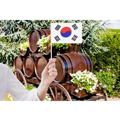 Bandera coreana Kor – bandera de Corea del Sur para desfile y deporte
