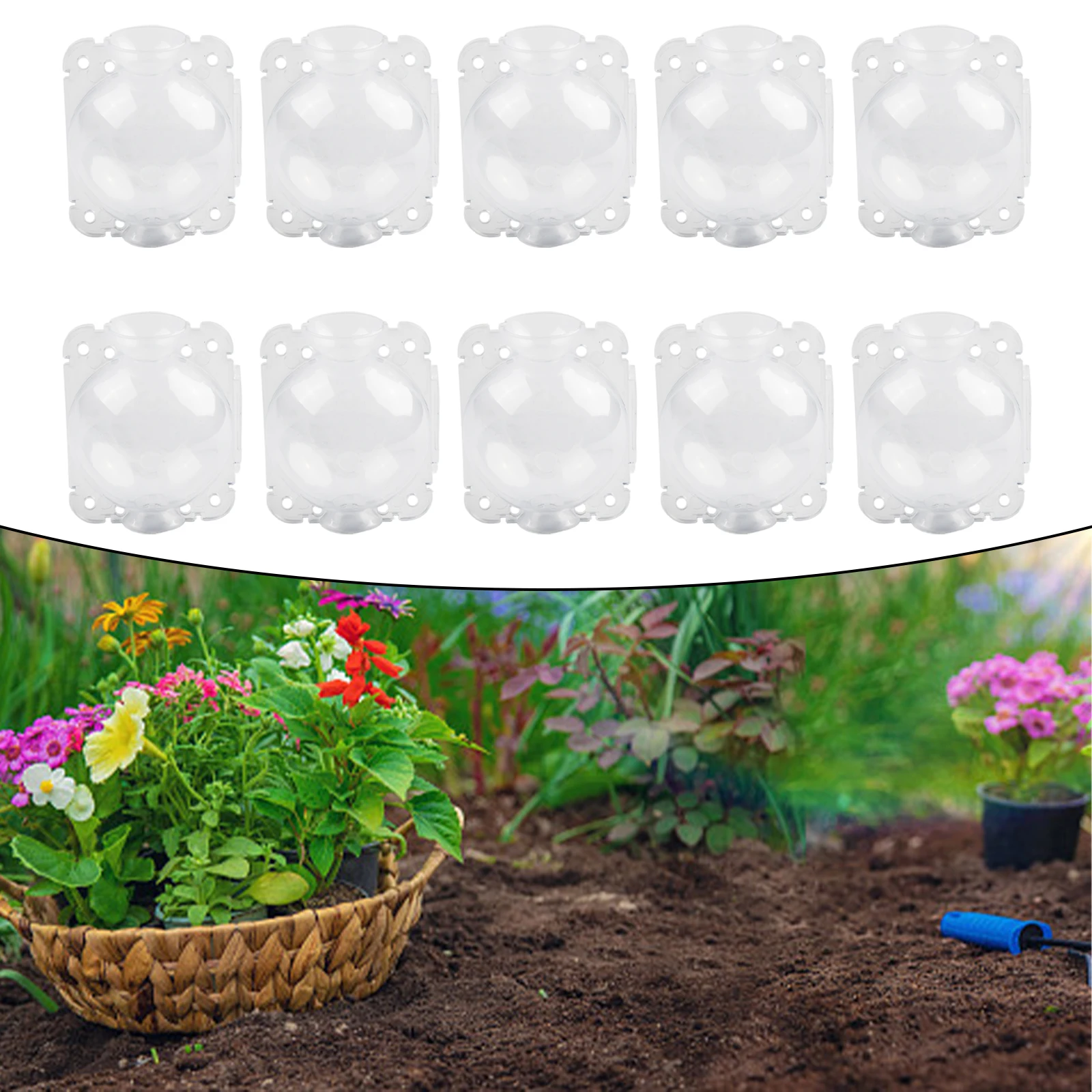 10pcs 5cm/8cm scatola per la coltivazione della radice della pianta palla di propagazione ad alta pressione scatola per innesto da giardino