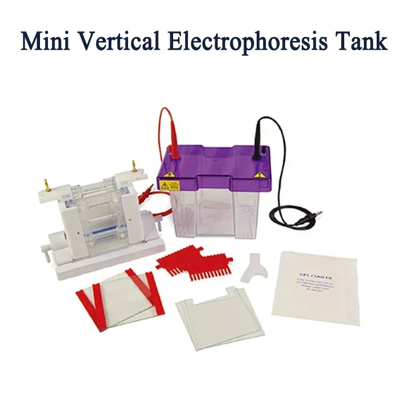 

Mini Vertical Electrophoresis Tank CVS10DSYS Suitable for Polyacrylamide Gel Separation of Protein Experiment