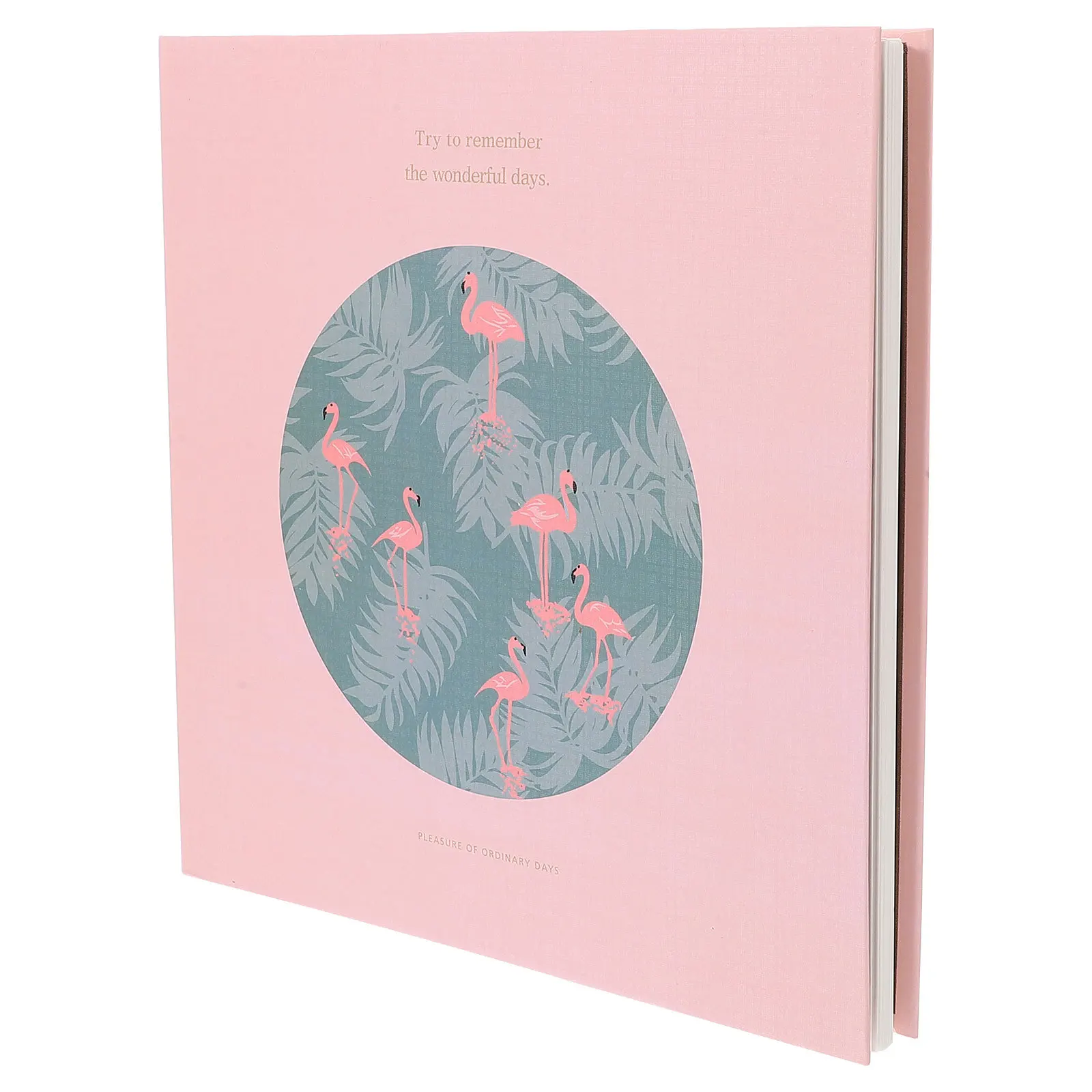 Album Penyimpanan Bunga Kering Tempat Spesimen Bunga yang Ditekan Mudah Digunakan Buku Koleksi Tanaman Portabel untuk Dewasa DIY