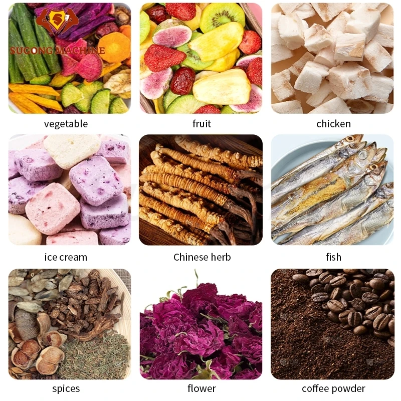 Quick Drying Commercial Laboratory Lab Small Freeze Dryer Home For Sale Thailand In Stock