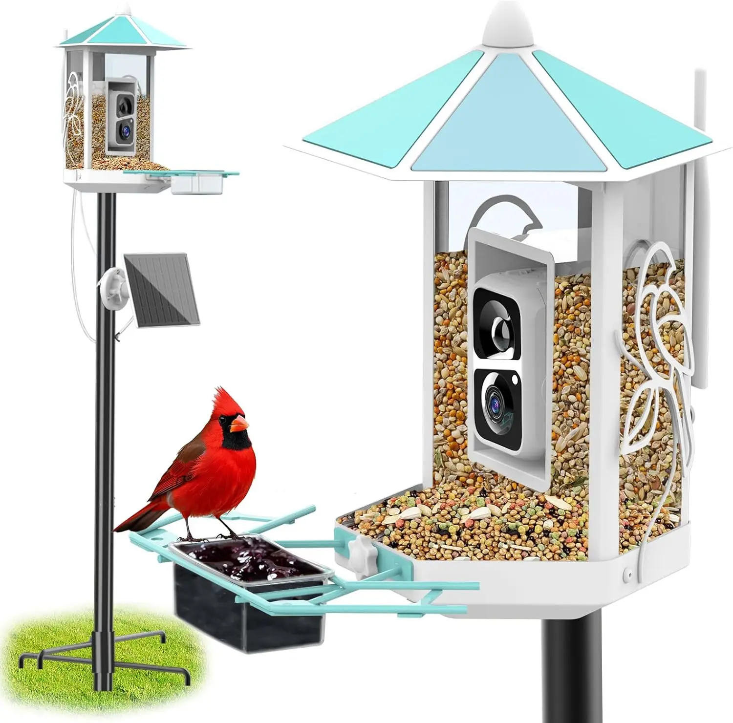 Solar Bird Feeder Camera with Pole, 2K Live Stream, AI Identify, Metal, 74.5in