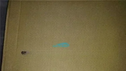 

E82EV113-4C200 E82EV752-4C200