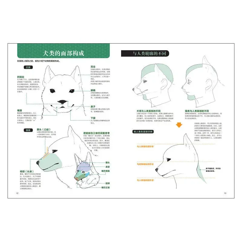 Coloring Book (Animal Fantasia: Whole Body Comparison to Q Version) 14 Japanese First-Line Illustrators Creation Tutorial