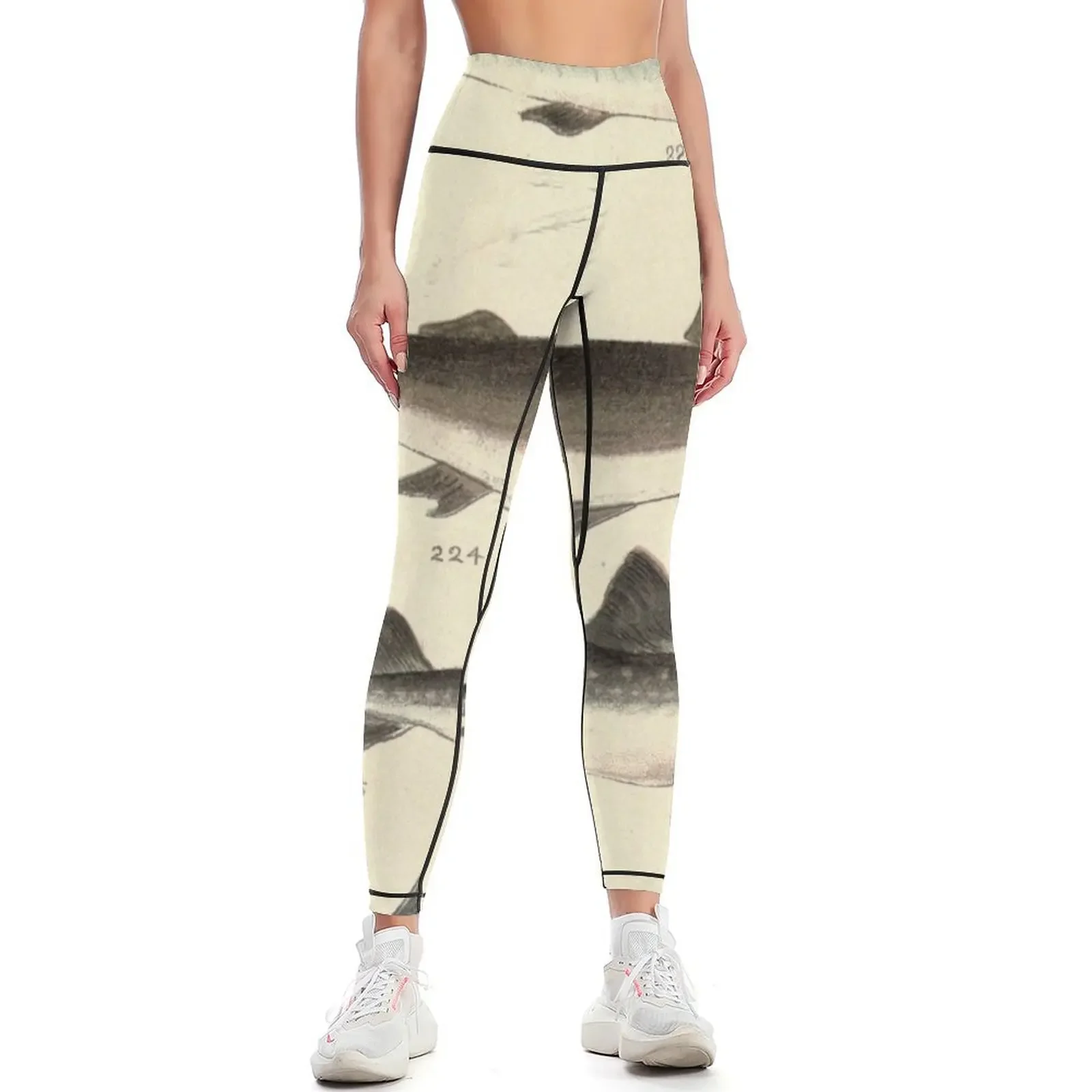 Vintage Illustration of Various Sharks Leggings gym pants Women's sports pants Women's trousers Women sports Womens Leggings