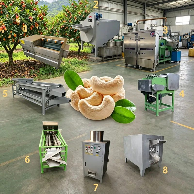 Automatic Cashew Production Line with Shelling Peeling Oven and Air Compressor for White Cashew Kernels Customized