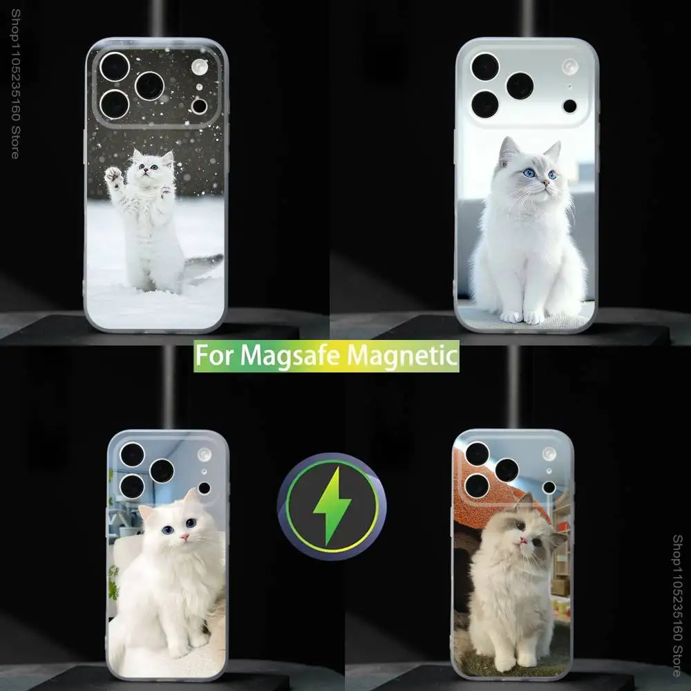 

Lovely Ragdoll Cat Funny Phone Case For iPhone 17,16,15,14,13,12,11,Pro,Max,Plus,Mini,SE4,E Magnetic For Magsafe Wireless