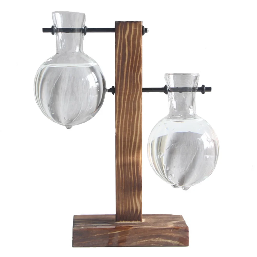 

1Set Water Planting Glass Vase Premium Glass Desktop Hydroponics Planter for Fresh Flowers and Small Plants Hydroponic Vessels