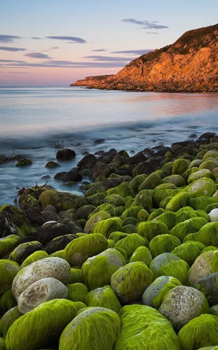 

Flycolor X-CROSS HV3 PRO 80A 200A ESC 5-12S BLHeli-32 Dshot Proshot 64MHz ARM 32-Bit Speed Controller for RC FPV Racing Drone