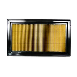 Air Filter For NISSAN NV200 / EVALIA / QASHQAI / TIIDA / Versa 16546-ED000