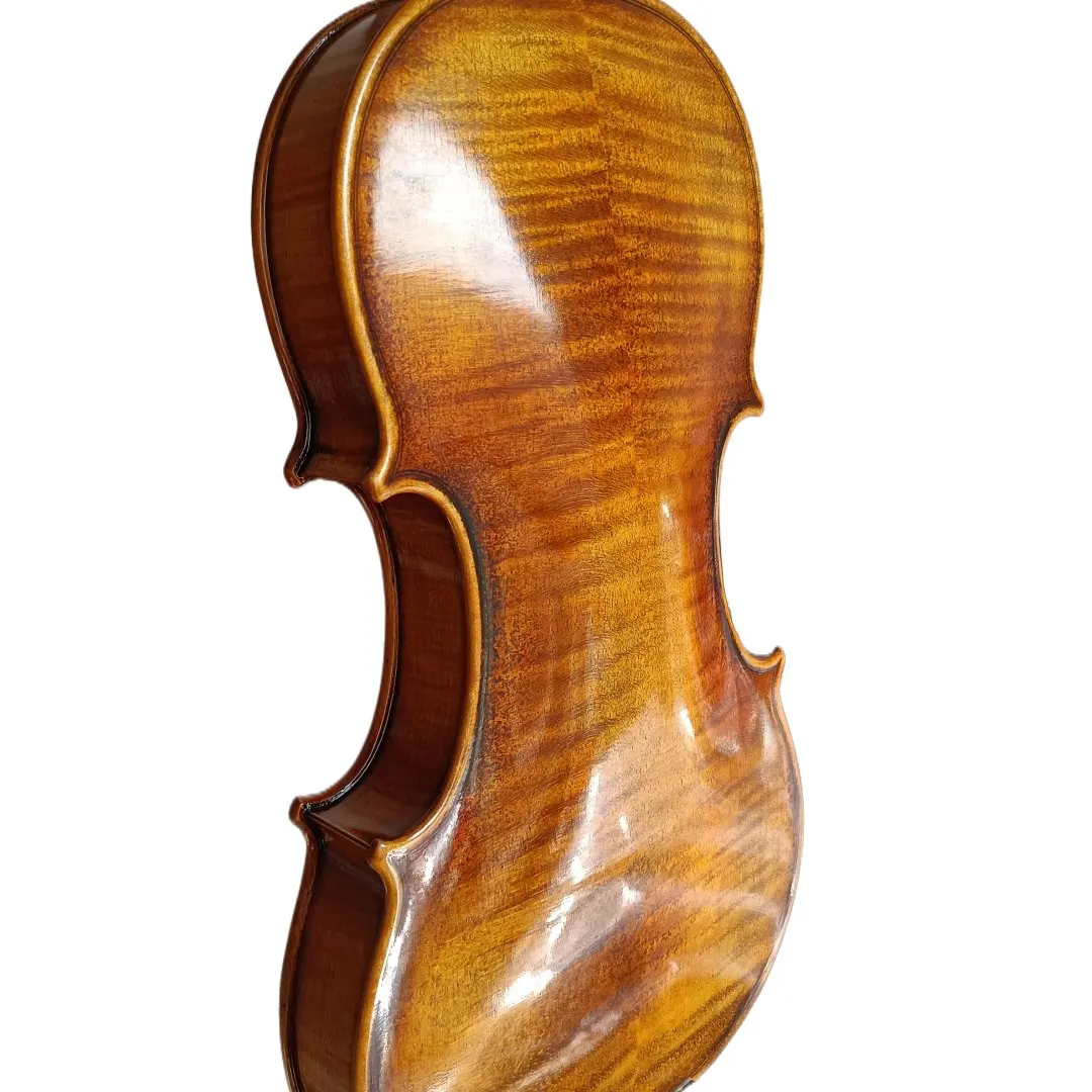 Beautiful violin grade test with violin vintage violin professional violin