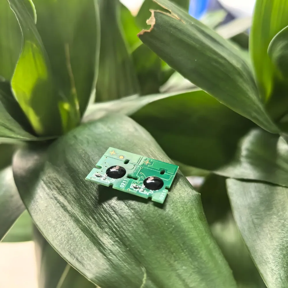 

10X T6193 Maintenance Chip for EPSON T3000 T5000 T7000 T3070 T5070 T7070 T3270 T5270 T7270 T3050 T5050 T7050 T3250 P20000