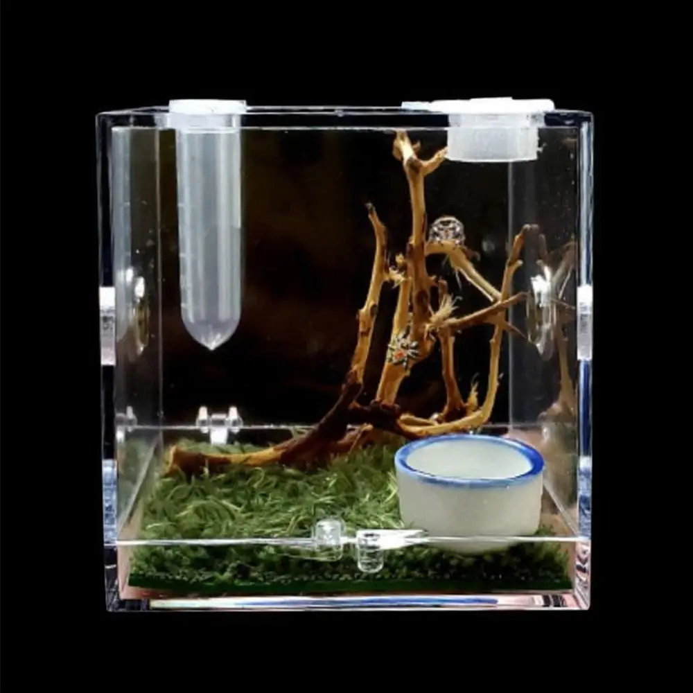 Plastic Transparent Jumping Spider Habitat Acrylic Breeding Box Cage for Spiders Small Insects