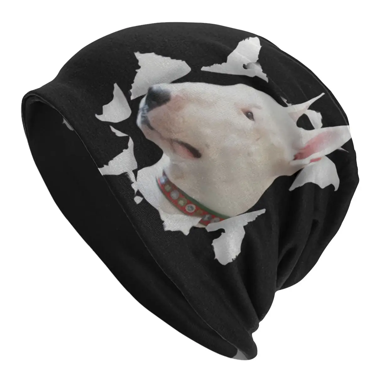 Dog Face Bull Terrier Hat Pullover Children Thin Warm Male Polyester Caps